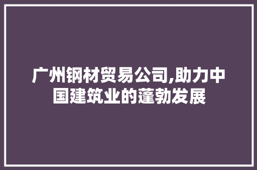 广州钢材贸易公司,助力中国建筑业的蓬勃发展