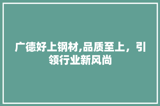 广德好上钢材,品质至上，引领行业新风尚