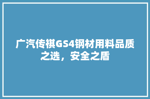广汽传祺GS4钢材用料品质之选，安全之盾