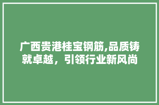 广西贵港桂宝钢筋,品质铸就卓越，引领行业新风尚