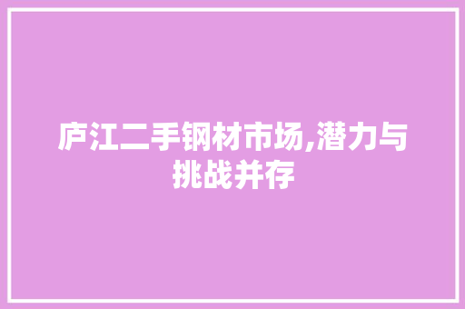 庐江二手钢材市场,潜力与挑战并存