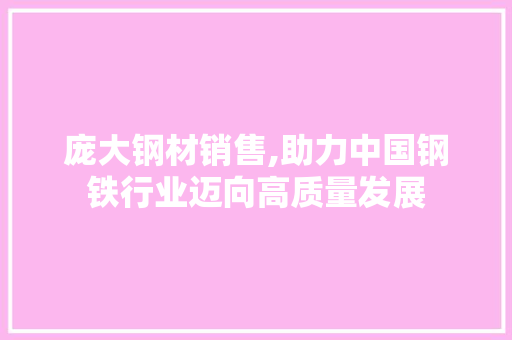 庞大钢材销售,助力中国钢铁行业迈向高质量发展