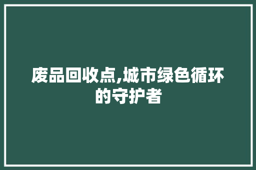 废品回收点,城市绿色循环的守护者