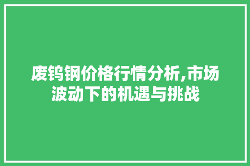 废钨钢价格行情分析,市场波动下的机遇与挑战