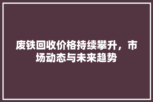 废铁回收价格持续攀升，市场动态与未来趋势