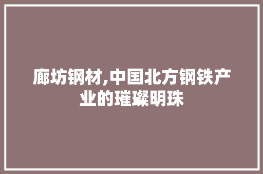 廊坊钢材,中国北方钢铁产业的璀璨明珠