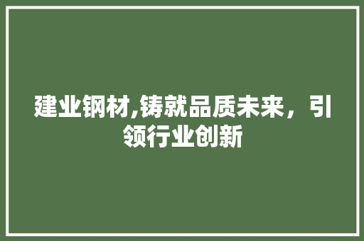 建业钢材,铸就品质未来，引领行业创新