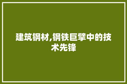 建筑钢材,钢铁巨擘中的技术先锋