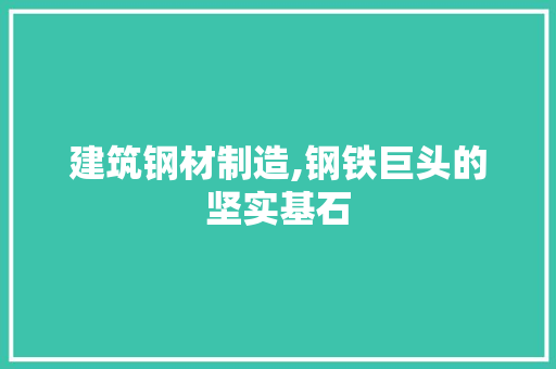 建筑钢材制造,钢铁巨头的坚实基石