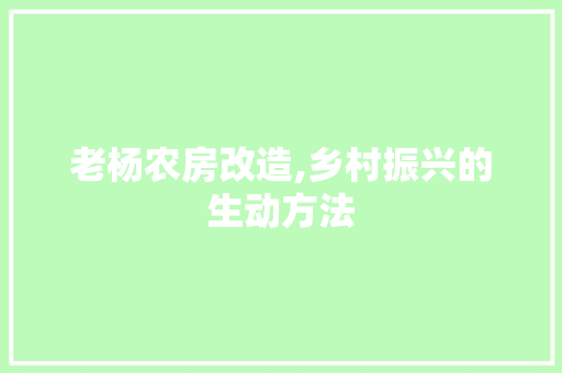 老杨农房改造,乡村振兴的生动方法
