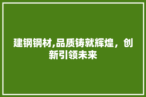 建钢钢材,品质铸就辉煌，创新引领未来
