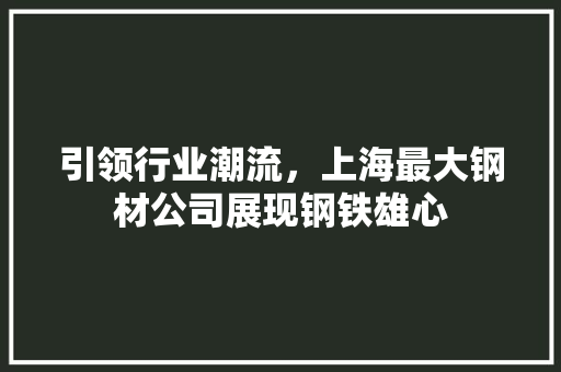 引领行业潮流，上海最大钢材公司展现钢铁雄心