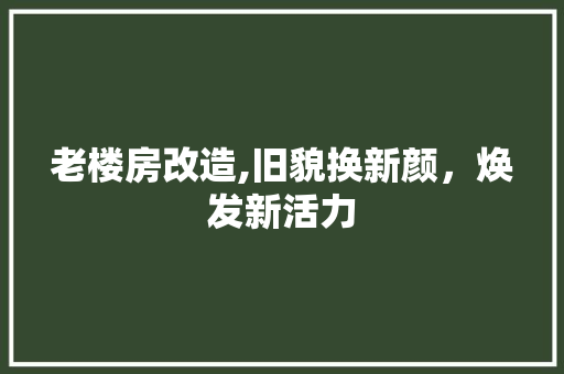 老楼房改造,旧貌换新颜，焕发新活力