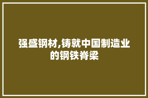 强盛钢材,铸就中国制造业的钢铁脊梁