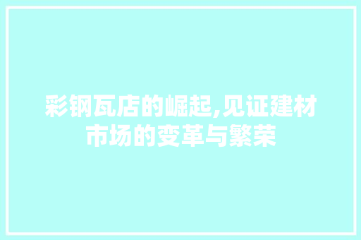 彩钢瓦店的崛起,见证建材市场的变革与繁荣
