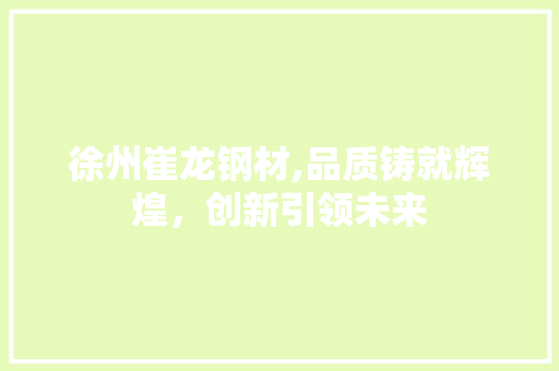 徐州崔龙钢材,品质铸就辉煌，创新引领未来