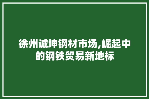 徐州诚坤钢材市场,崛起中的钢铁贸易新地标