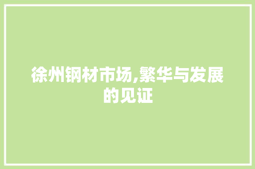 徐州钢材市场,繁华与发展的见证