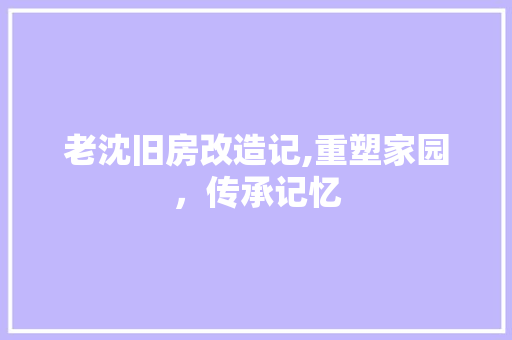 老沈旧房改造记,重塑家园，传承记忆