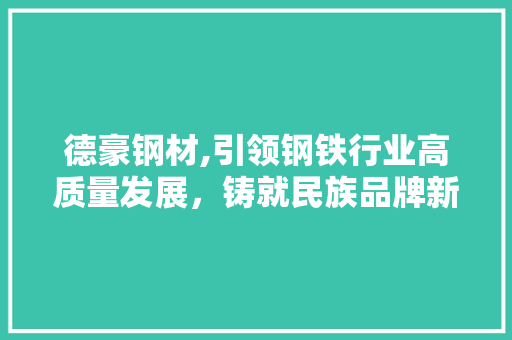 德豪钢材,引领钢铁行业高质量发展，铸就民族品牌新辉煌