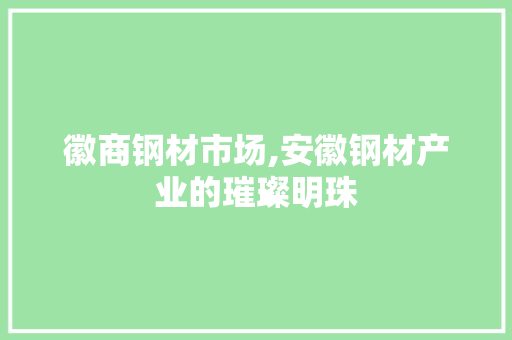 徽商钢材市场,安徽钢材产业的璀璨明珠