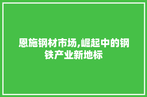 恩施钢材市场,崛起中的钢铁产业新地标