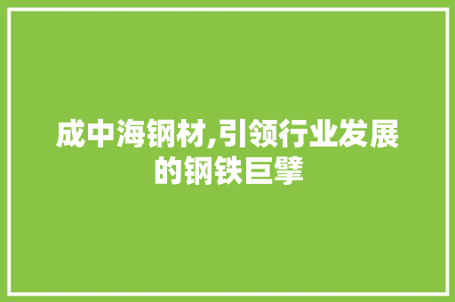 成中海钢材,引领行业发展的钢铁巨擘