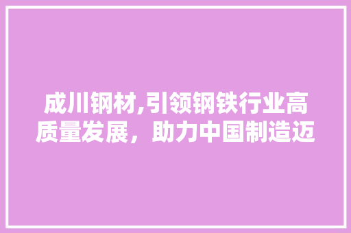 成川钢材,引领钢铁行业高质量发展，助力中国制造迈向世界舞台
