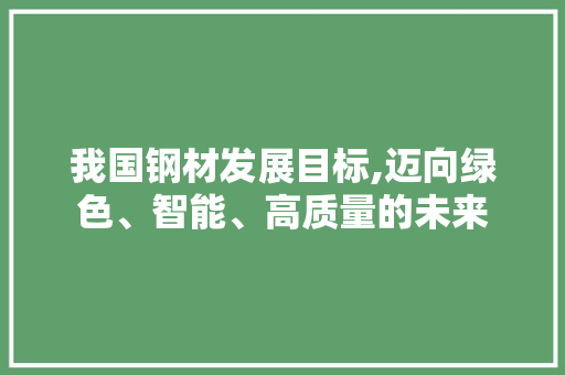 我国钢材发展目标,迈向绿色、智能、高质量的未来