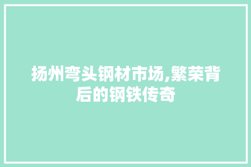 扬州弯头钢材市场,繁荣背后的钢铁传奇