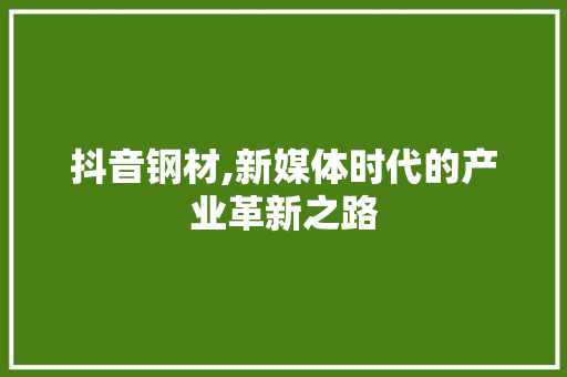抖音钢材,新媒体时代的产业革新之路
