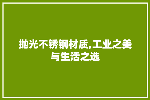 抛光不锈钢材质,工业之美与生活之选
