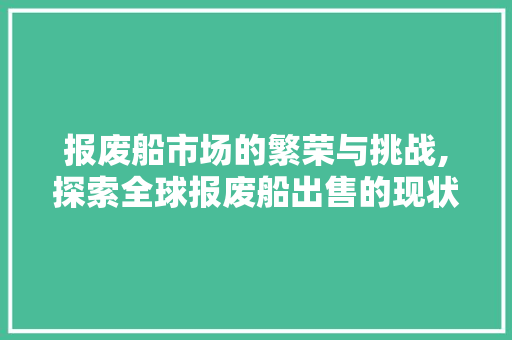 报废船市场的繁荣与挑战,探索全球报废船出售的现状与未来