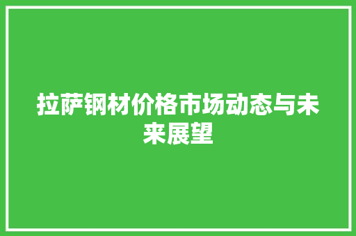 拉萨钢材价格市场动态与未来展望