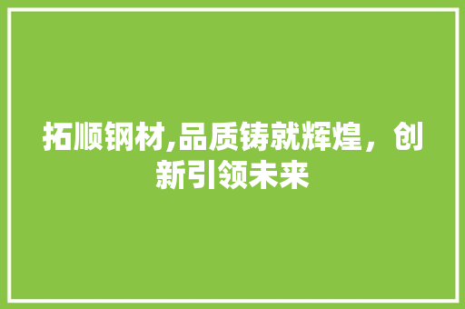 拓顺钢材,品质铸就辉煌，创新引领未来