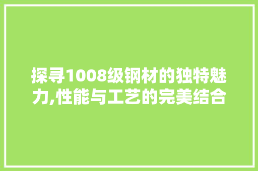 探寻1008级钢材的独特魅力,性能与工艺的完美结合