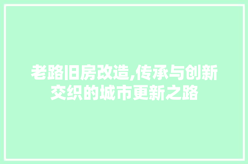 老路旧房改造,传承与创新交织的城市更新之路