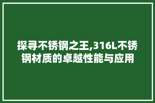探寻不锈钢之王,316L不锈钢材质的卓越性能与应用