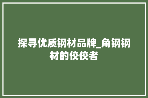 探寻优质钢材品牌_角钢钢材的佼佼者
