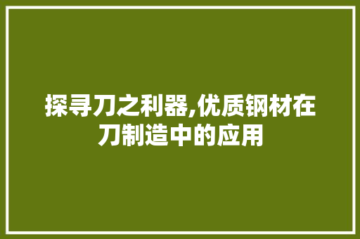 探寻刀之利器,优质钢材在刀制造中的应用