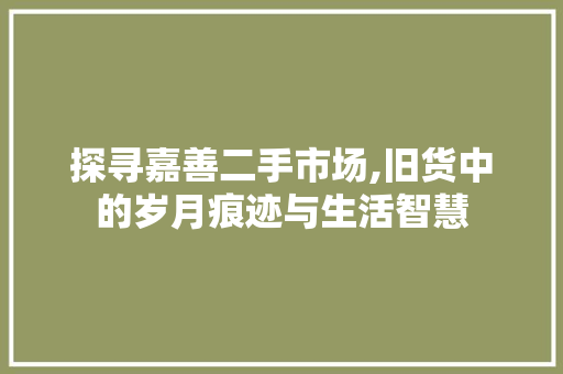 探寻嘉善二手市场,旧货中的岁月痕迹与生活智慧