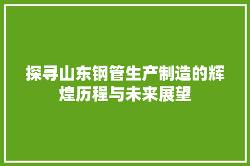 探寻山东钢管生产制造的辉煌历程与未来展望