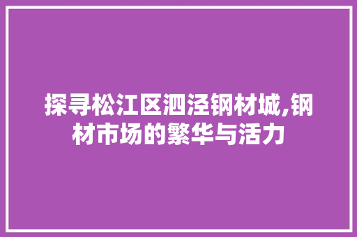 探寻松江区泗泾钢材城,钢材市场的繁华与活力