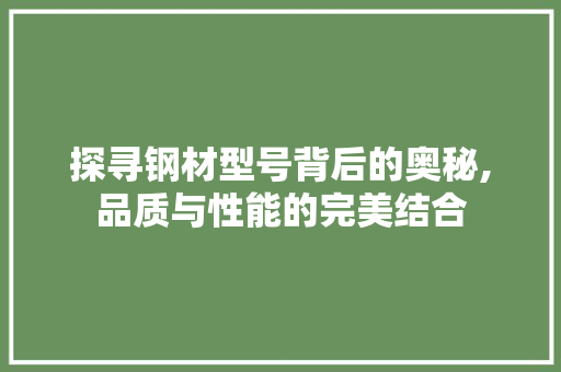 探寻钢材型号背后的奥秘,品质与性能的完美结合
