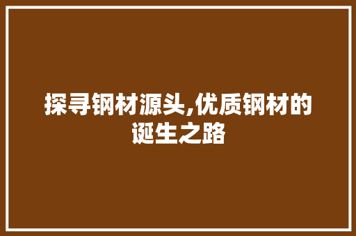 探寻钢材源头,优质钢材的诞生之路