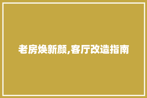 老房焕新颜,客厅改造指南