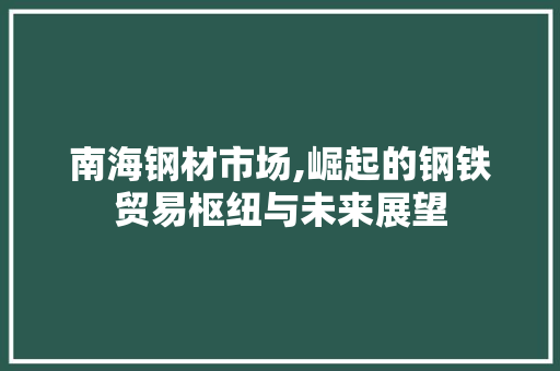 南海钢材市场,崛起的钢铁贸易枢纽与未来展望