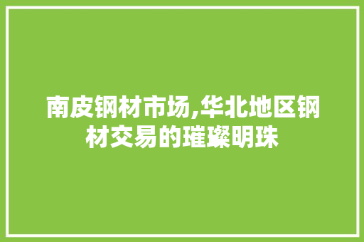 南皮钢材市场,华北地区钢材交易的璀璨明珠