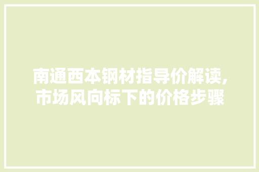 南通西本钢材指导价解读,市场风向标下的价格步骤