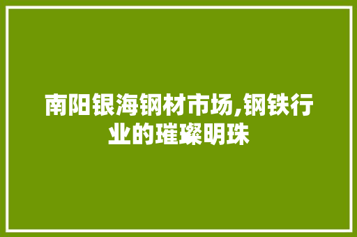 南阳银海钢材市场,钢铁行业的璀璨明珠